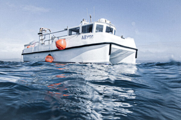 Plymouth Weekend August 2025